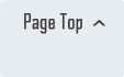 Page Top
